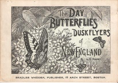 Item #034799 THE DAY BUTTERFLIES AND DUSKFLYERS OF NEW ENGLAND: How to Find and Know Them. Edward Knobel.
