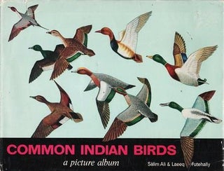 Item #038518 COMMON INDIAN BIRDS: A Picture Album. Salim Ali, Laeeq Futehally