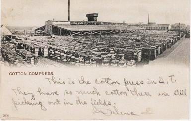 Item #039941 PHOTO-POSTCARD SHOWING HUNDREDS OF BALES OF COTTON OUTSIDE THE COTTON COMPRESS AT OKLAHOMA CITY. Indian Territory.