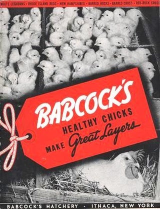 Item #039949 BABCOCK'S HEALTHY CHICKS MAKE GREAT LAYERS. Monroe C. Babcock