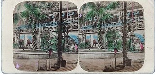 Item #040630 HAND-COLORED STEREOSCOPIC VIEW, CRYSTAL PALACE: THE GREAT PALM AND NINEVEH COURT. ...