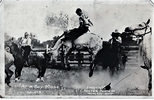 Item #041404 REAL-PHOTO POSTCARD OF A RODEO BAREBACK RIDER ON A BUCKING BRONCO, POSTMARKED 1920. Miles City Montana.